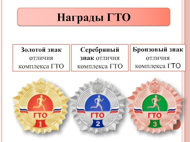 Проект гто в школу